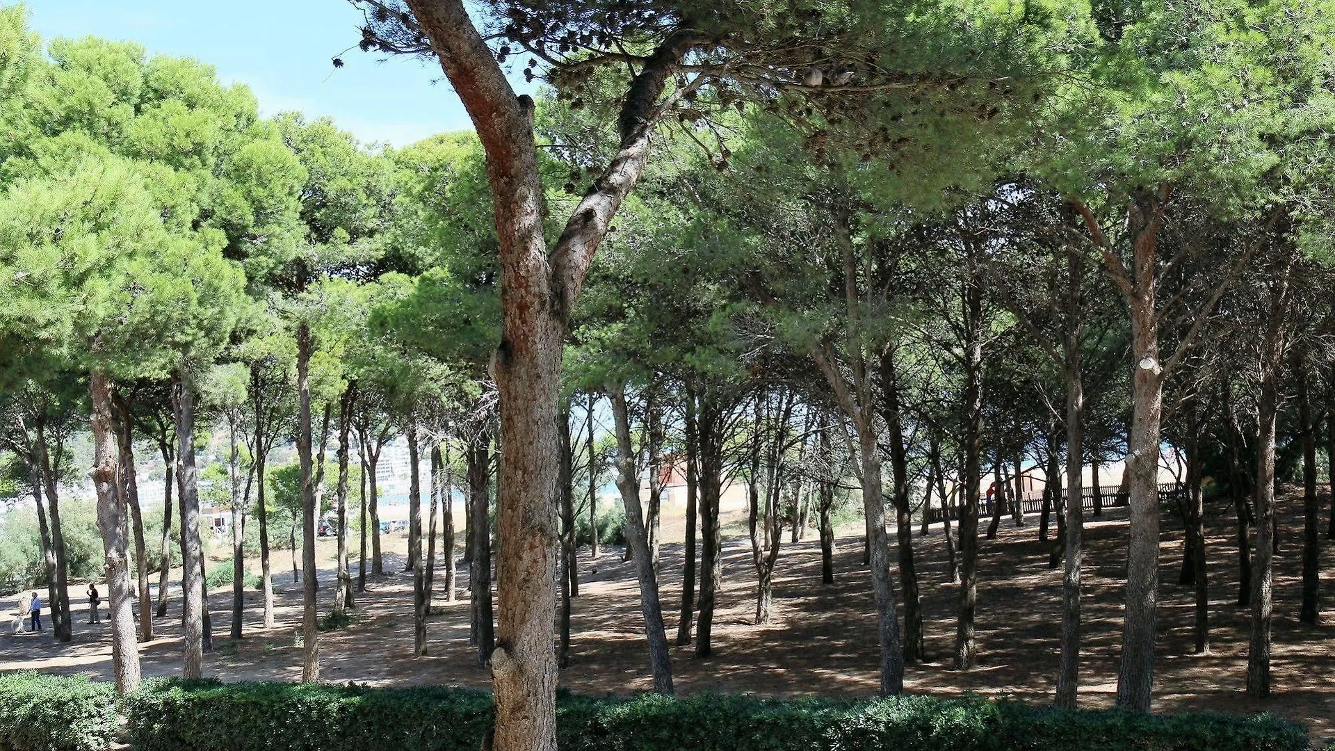 Daire Rvapartaments La Pineda L'Estartit